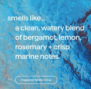 foaming hand wash refill – sea minerals. 28 fl oz 1