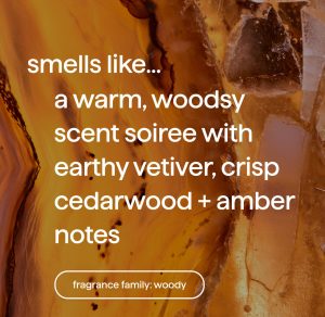 gel hand wash refill – vetiver + amber. 34 fl oz 1