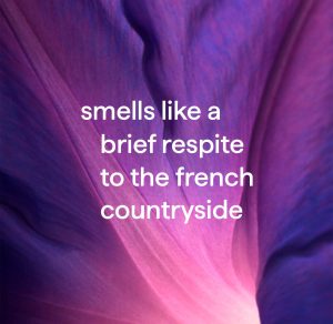 foaming hand wash refill – french lavender. 28 fl oz