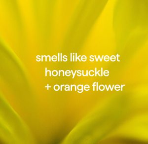 foaming hand wash – ylang ylang + hyacinth. 10 fl oz